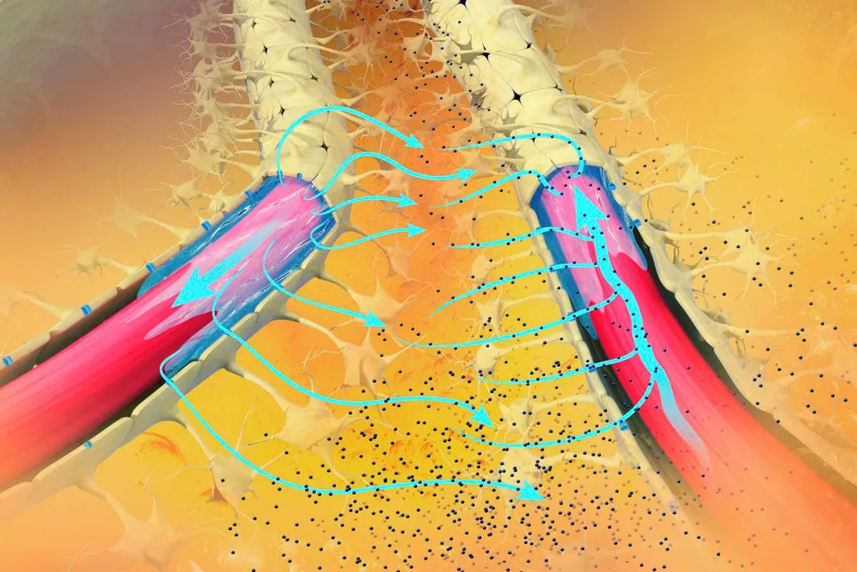 Nytt genombrott i kampen mot Alzheimers sjukdom